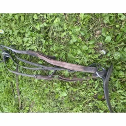 Collier de chasse + martingale