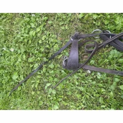 Collier de chasse + martingale