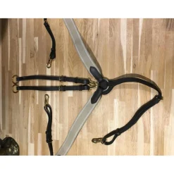 Collier de chasse + martinguale