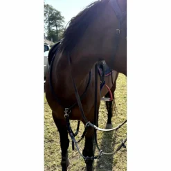 Collier de chasse + martingale Antares