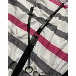 collier de chasse + martingale