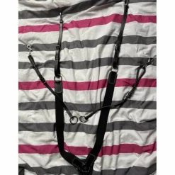 collier de chasse + martingale
