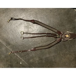 Collier de chasse + martingale