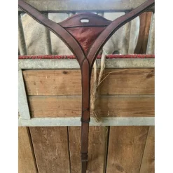 Collier de chasse + martingale butet