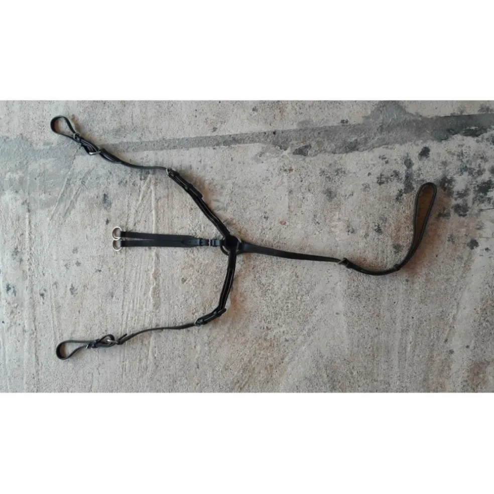Collier de chasse + martingale fouganza