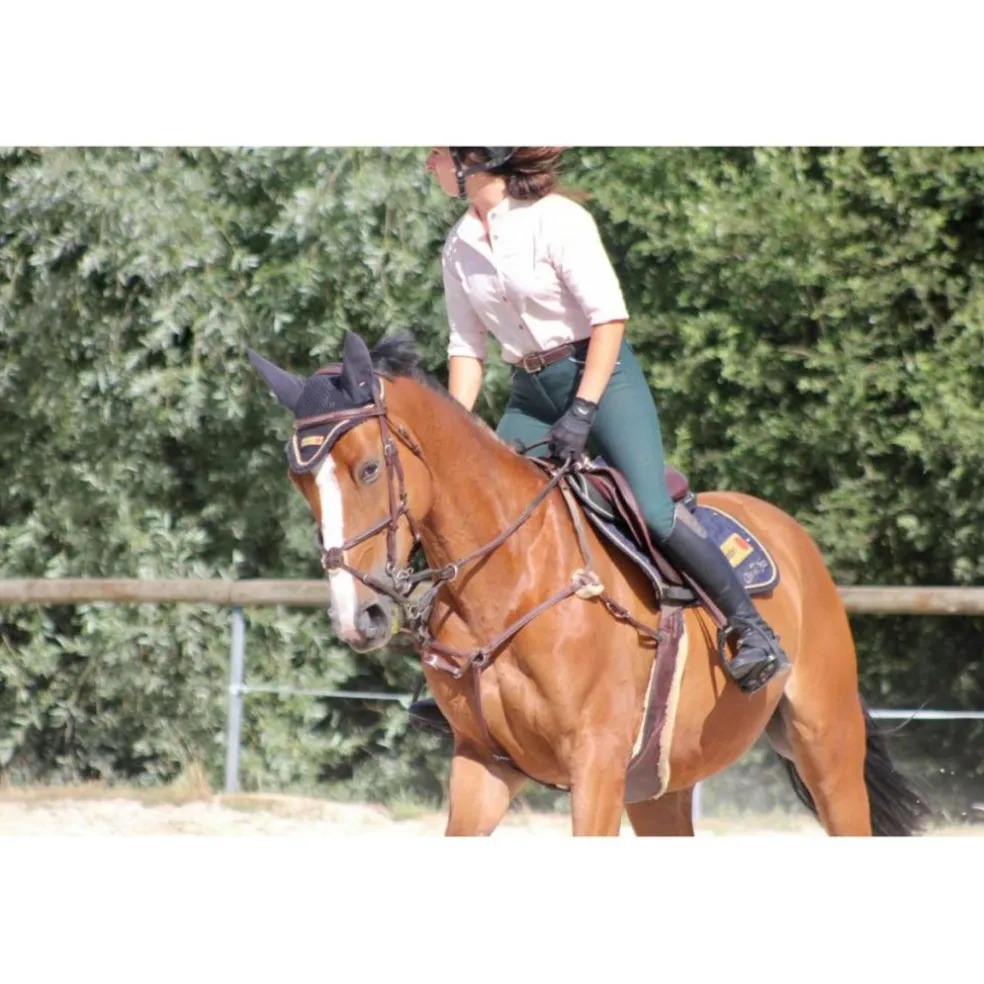 Collier de chasse + martincgale 5 points devoucoux havane *