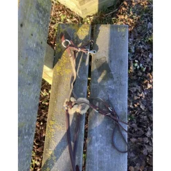 Collier de chasse + martincgale 5 points devoucoux havane *