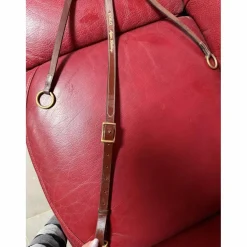 collier de chasse + martingale