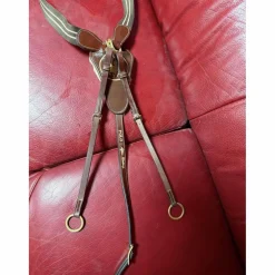 collier de chasse + martingale