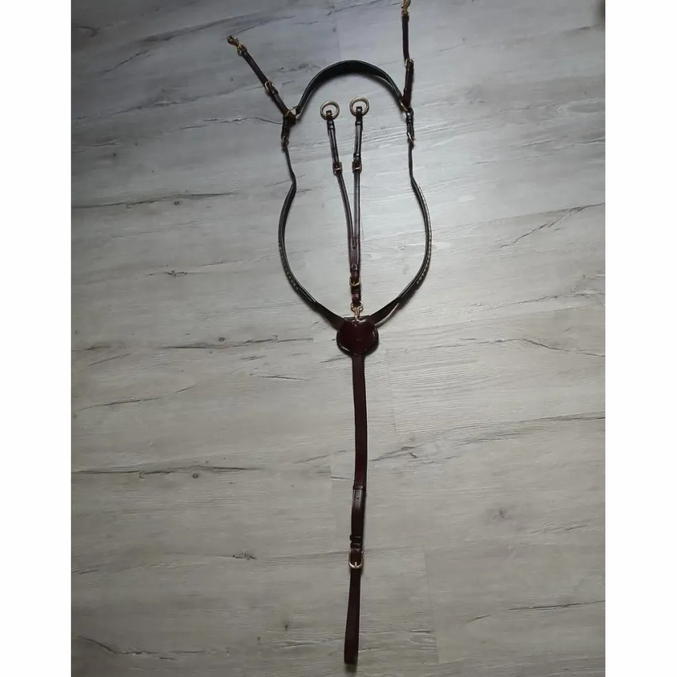 Collier de chasse + martingale clincher