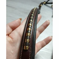 Collier de chasse + martingale clincher
