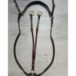 Collier de chasse + martingale clincher