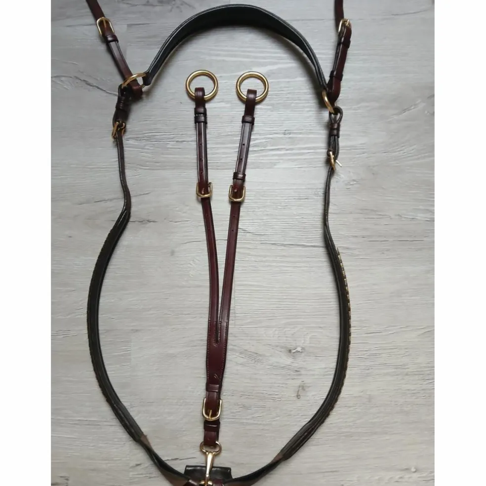 Collier de chasse + martingale clincher