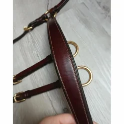 Collier de chasse + martingale clincher