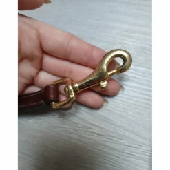 Collier de chasse + martingale clincher