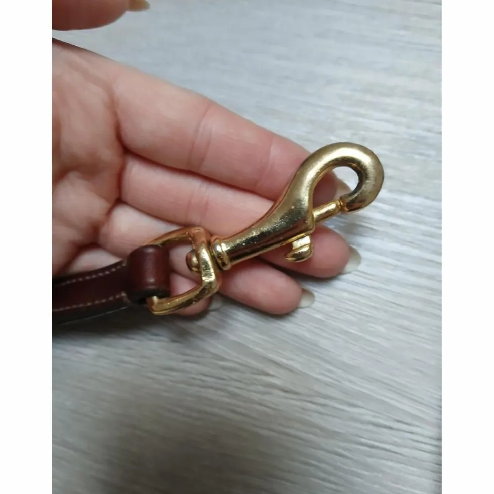 Collier de chasse + martingale clincher