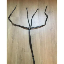 Collier de chasse + martingale
