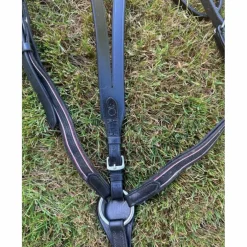 collier de chasse + martingale Fouganza noir