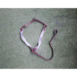 Collier de chasse + martingale
