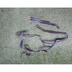 Collier de chasse + martingale