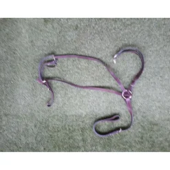 Collier de chasse + martingale