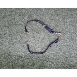 Collier de chasse + martingale