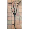 Collier de chasse + Martingale Dansel