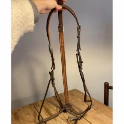 Collier de chasse + martingale Eric Thomas