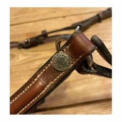 Collier de chasse + martingale Eric Thomas
