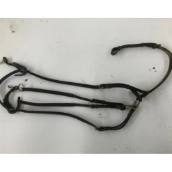 Collier de chasse + martingale