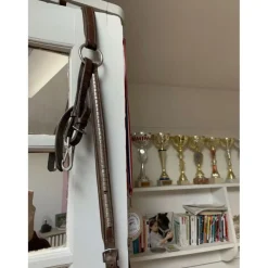 Collier de chasse + martingale clincher