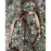 Collier de chasse + martingale