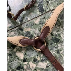 Collier de chasse + martingale