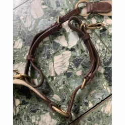 Collier de chasse + martingale