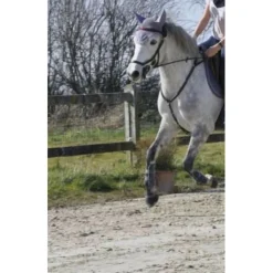 Collier de chasse + martingales