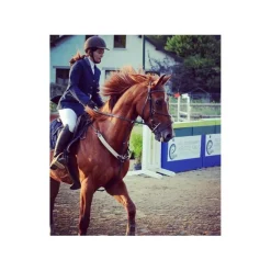 Collier de chasse + martingale cuir et élastiques beige HFI