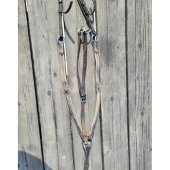 Collier de chasse + martingale