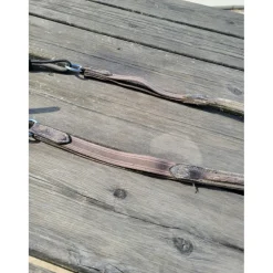 Collier de chasse + martingale