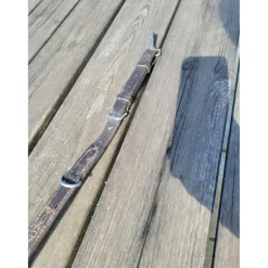 Collier de chasse + martingale