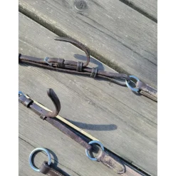 Collier de chasse + martingale