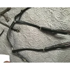 Collier de chasse + martingale