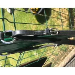 Collier de chasse + martingale