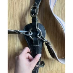 Collier de chasse + martingale