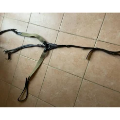 Collier de chasse + martingale