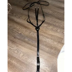 Collier de chasse + martingale