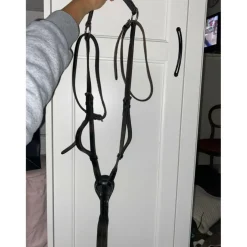 Collier de chasse + martingale