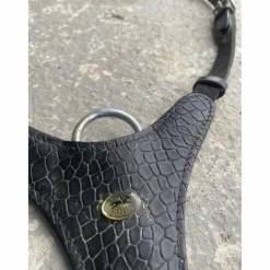 Collier de chasse + martingale