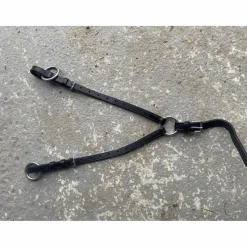 Collier de chasse + martingale