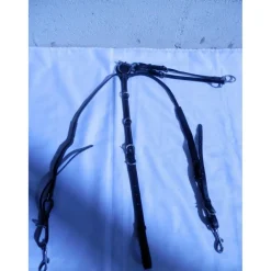 Collier de chasse + martingale