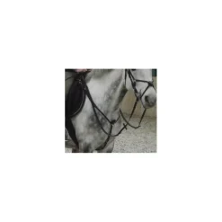 Collier de chasse + martingale